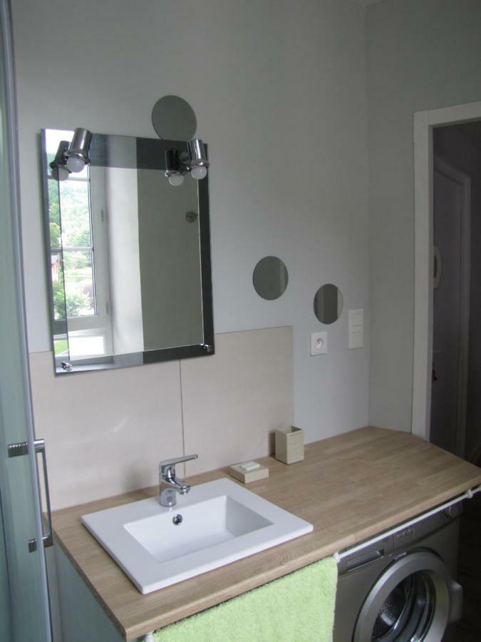 Appartement De Charme A La Montagne Ax-les-Thermes Zewnętrze zdjęcie